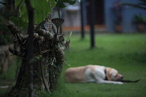 Mingtang Boutique Cottage