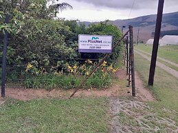 Rodo Mountain View 1