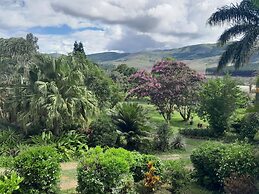 Rodo Mountain View 1