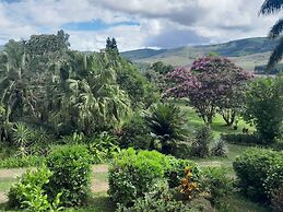 Rodo Mountain View 1