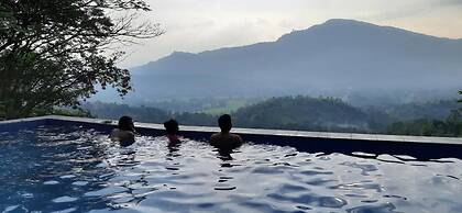 Terrace Cinnamon View