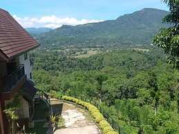 Terrace Cinnamon View