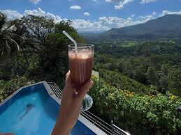 Terrace Cinnamon View