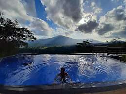 Terrace Cinnamon View