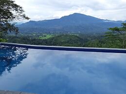 Terrace Cinnamon View