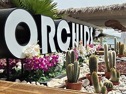 ORCHIDS Hotel