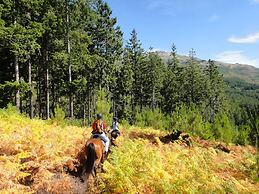 Tree Pool Villa in Arcos de Valdevez