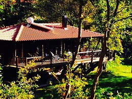 Tree Pool Villa in Arcos de Valdevez