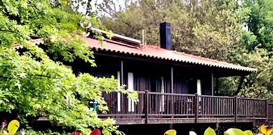 Tree Pool Villa in Arcos de Valdevez