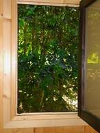 Tree Pool Villa in Arcos de Valdevez