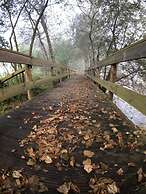 Tree Pool Villa in Arcos de Valdevez