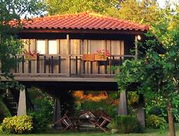 Pool Villa Espigueiro I