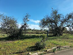Private Pool Fazenda Villa