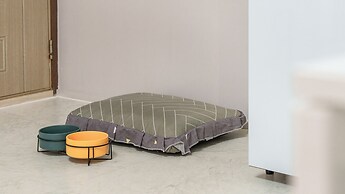 Gapyeong Venezia Dog Pension