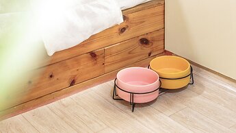 Gapyeong Venezia Dog Pension