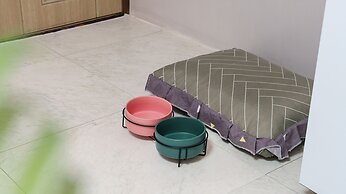 Gapyeong Venezia Dog Pension