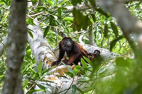 Taorayiná nature reserve