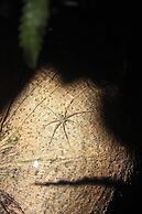 Taorayiná nature reserve