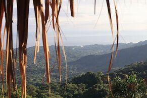 Taorayiná nature reserve