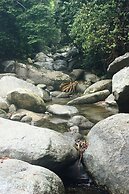 Taorayiná nature reserve