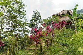Taorayiná nature reserve
