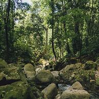 Taorayiná nature reserve