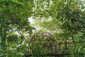 Taorayiná nature reserve