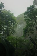 Taorayiná nature reserve