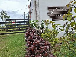 Asuneus Farm