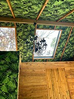 Charming Cottage in Elgin, Grabouw