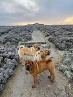 Charming 6-bed Escape- Balconies & Panoramic Views