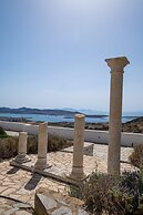 Luxury Villa Aethra -island Living Paros-