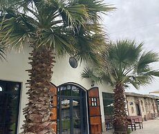 Erdem Ciftligi Ephesus Arena