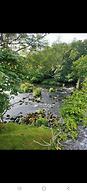 Welsh Mountain Retreat With Studio Flat
