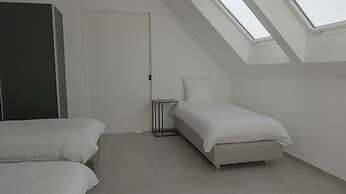 Flanders Cobblestone Paradise