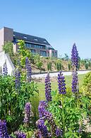 Flanders Cobblestone Paradise