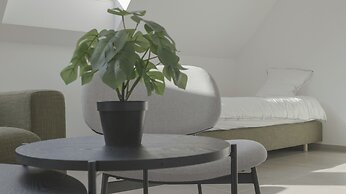 Flanders Cobblestone Paradise