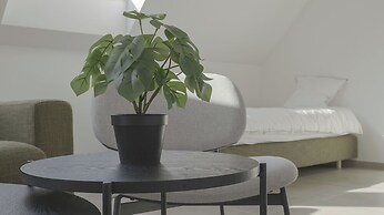 Flanders Cobblestone Paradise