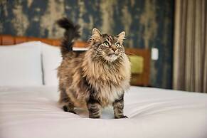 The REMI, Scottsdale, Autograph Collection