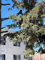 Hotel Caminos