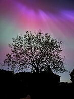 Orchard Hideaway York