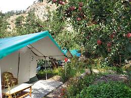 Apple Orchard Farm and Camping