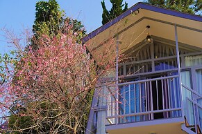 DD Hospitality - May Bach Da Lat