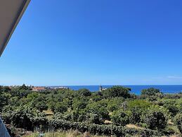 Aurantia - Mediterranean Tale