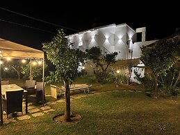 Aurantia - Mediterranean Tale