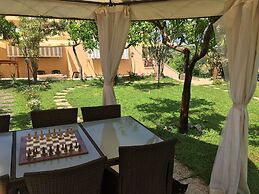 Aurantia - Mediterranean Tale