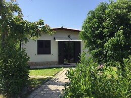 Aurantia - Mediterranean Tale