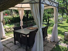 Aurantia - Mediterranean Tale