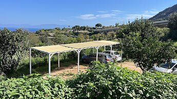 Aurantia - Mediterranean Tale