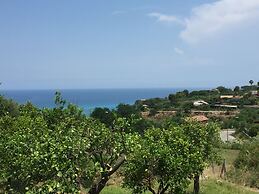 Aurantia - Mediterranean Tale